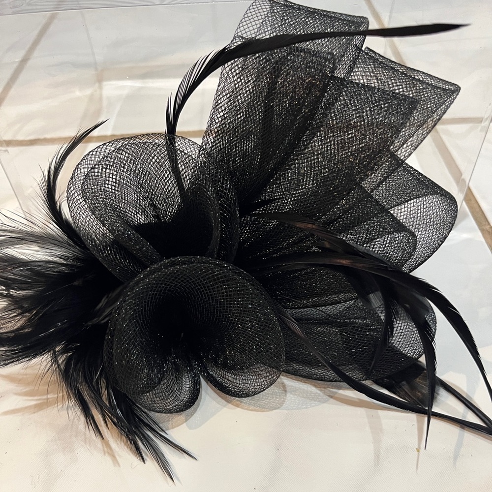Ladies Hair Accessory - Picture 1 of 5